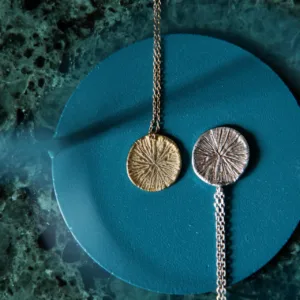 Médaille victoria S