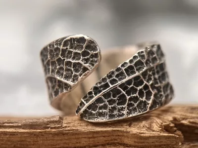 Bague_singuliere7